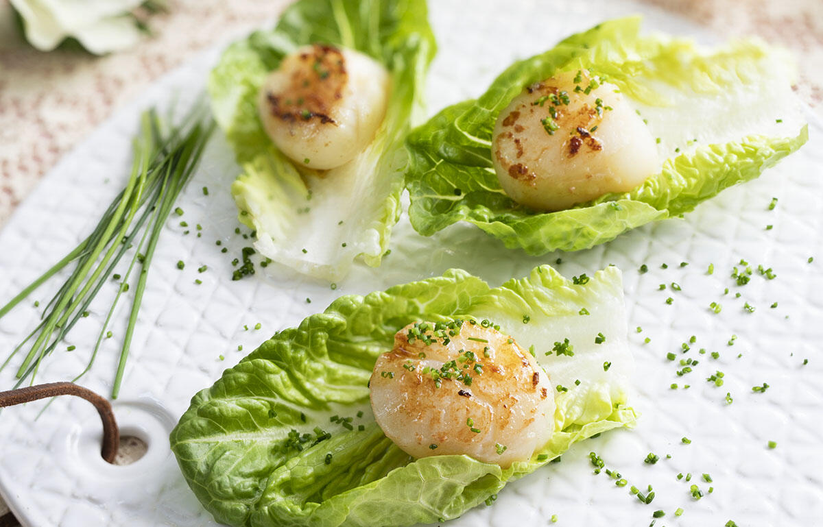 Salladswraps  med pilgrimsmussla