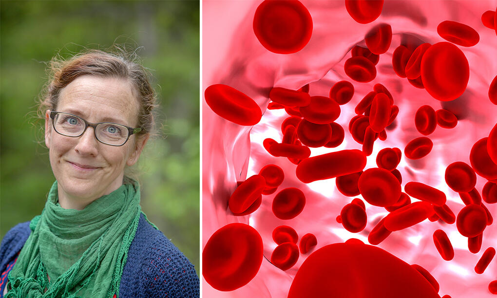 När blodbristen är som mest påtaglig får Béatrice Karjalainen jättehög puls av att gå uppför minsta lilla trappa. Foto: JOHAN GUNSÉUS