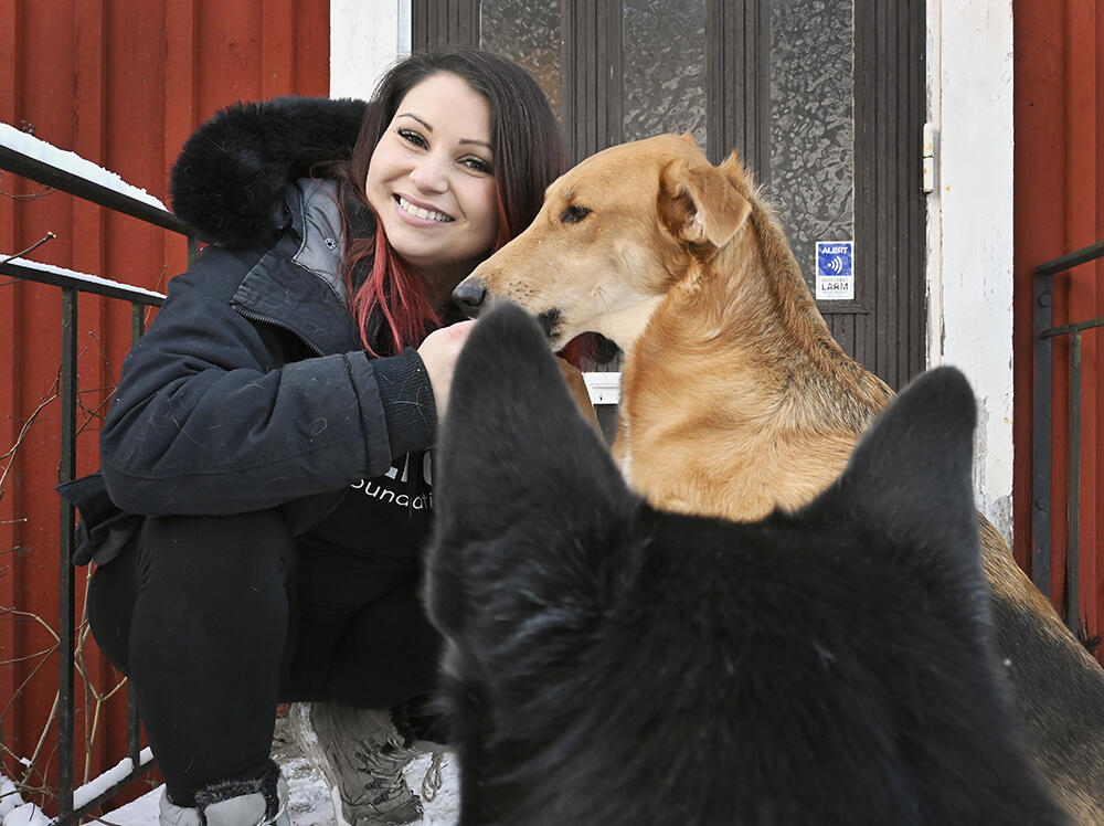 Sandra Tigerlind driver en fristad för oönskade hundar. Här är hon uppvaktad av Lukas, Teijo och Gumman.