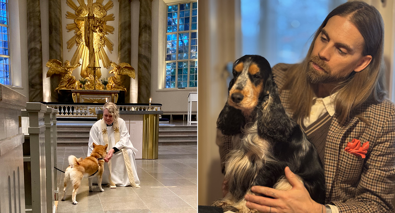 Flera kyrkor i landet välsignar husdjur: ”Jag hoppas detta blir en kär tradition”